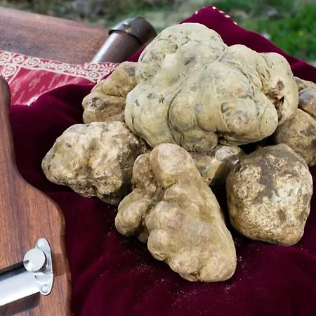 Appartement L'orchidhea