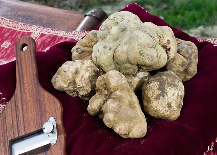 דירה L'orchidhea